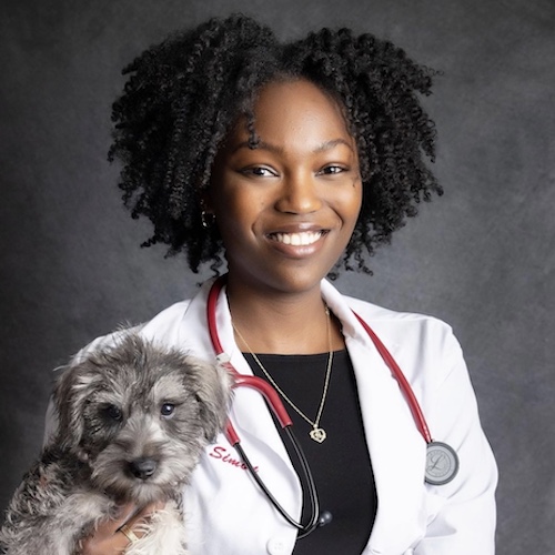 The Ultimate Guide to U.S. Veterinary Schools